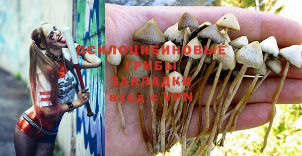 гашиш Михайлов