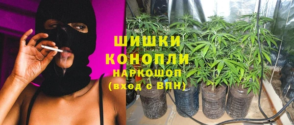 крисы Михайловск
