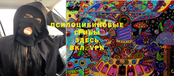 спиды Мегион