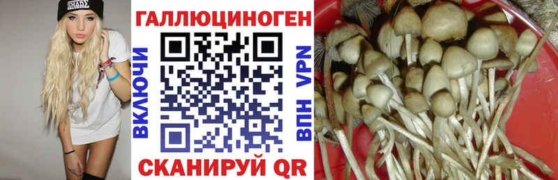 Псилоцибиновые грибы мицелий Сковородино